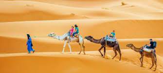 Gear is a toothed wheel or cylinder used. Camel Trips Saharansky