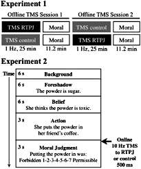 La evidencia de los estudios de neuroimagen, así como los estudios de lesiones, reveló que la rtpj juega un papel fundamental en el. Disruption Of The Right Temporoparietal Junction With Transcranial Magnetic Stimulation Reduces The Role Of Beliefs In Moral Judgments Pnas