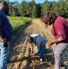 Selling Out the Delta