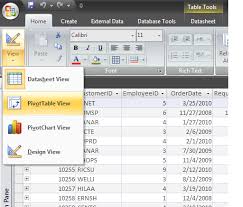 Instead Of Queries Use The Access 2007 Pivottable View