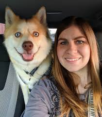A lil light brown long hair Dog running around Walmart with a blue collar