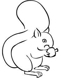 Print and color fall pdf coloring books from primarygames. Squirrel Eating Acorn Coloring Page Squirrel Coloring Page Coloring Pages Acorn Drawing
