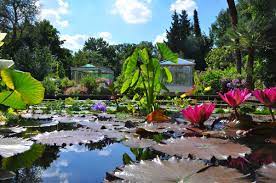 Am botanischen garten in erlangen gibt es eine reihe interessanter gewächshäuser mit verschiedenen vegetationszonen. Einrichtungen Department Biologie