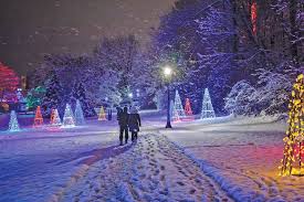 Niagara Winter Festival Of Lights Niagara Falls Nov 18 Jan 31 Big Plans For 35th Anniversary Festival Lights Winter Light Festival Niagara Falls Winter