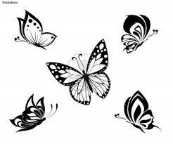 Affordable and search from millions of royalty free images, photos and vectors. Pin On Biomechaniks