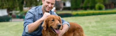 Примеры заданий для экзамена pet sample papers (preliminary english test) или pet for schools sample papers можно найти ниже current papers (version 2020) Resources For Pet Owners American Veterinary Medical Association
