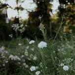 Land Divination Walk