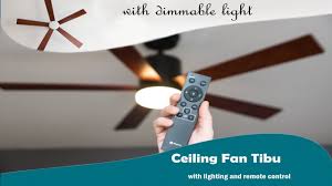 The stockbridge ceiling fan includes bowl light kit with snowflake scavo glass. Energy Saving Ceiling Fan Pepeo Tibu 132cm With Light Product Video Youtube