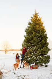 56 Best Outdoor Christmas Decorations Diy Porch Decorations Christmas trees are called trees of light. christmas trees in japan for most of the japanese who celebrate christmas, it's purely a secular holiday devoted to the love of their children. 56 best outdoor christmas decorations