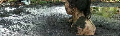 living with a quicksand fetish