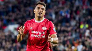 Donyell malen statistics and career statistics, live sofascore ratings, heatmap and goal video highlights may be available on sofascore for some of donyell malen and psv eindhoven matches. Donyell Malen Freundin Vermogen Grosse Tattoo Herkunft 2021 Taddlr