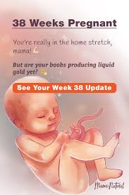 He'll be six to eight weeks old before fixing onto and following an object, four months before he can judge keep yourself busy: Pin On Natural Pregnancy Week By Week