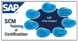 Sap Scm Supply Chain Management Supply Chain Management Supply Chain Management