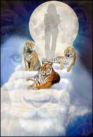 Wildlife Waystation founder Martine Colette, 79, goes to "walk with tigers" 