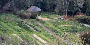 OAEC Food Forest Course