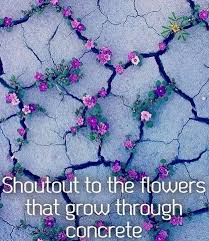 Sure, we have changed the world irrevocably for the better (or worse), but nature was here before we were and it will be after we're gone. Facebook