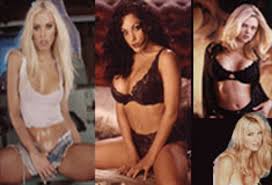 Vivid Girls Land Erotic Novel Deal | AVN