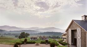 Halloween Day! Burke Ingraffia at Pippin Hill Farm & Vineyards