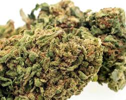 What is the strongest hemp flower. Premium Gelato Cbd Hemp Flower Industrial Hemp Farms