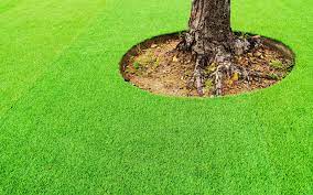 Buy Artificial Grass Online