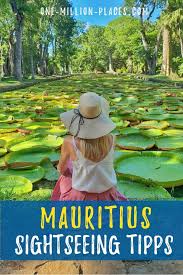 Der Botanische Garten In Pamplemousses Mauritius Romantikreisen Reisen Botanischer Garten