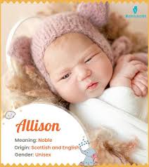 Ellison Name, Meaning, Origin, History And Popularity