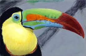 Pencil Madness Free Online Sketching Drawing Tool Drawing Tools Drawings Toucans