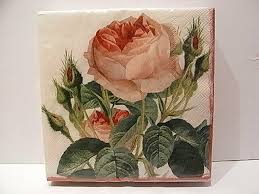 I, too, dread this apparatus. Formano Redoute Roses Servietten Papier Mit Rosendekor Gunstig Kaufen Ebay