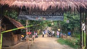 Memanjat rumah pohon di bukit kembar puncak pinus loji karawang. Berlibur Ke Hutan Pinus Karawang Rugi Kalau Tidak Ke Spot Ini Youtube
