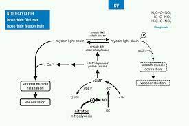 Mechanism Of Action Of Nitroglycerin Nitroglycerin Pharmacology Education Math