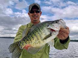 That is not to say that you cannot have your own size limit. How To Catch Crappie Tips For Fishing For Crappie