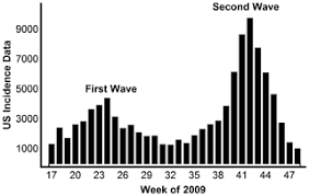 A Perspective on Multiple Waves of Influenza Pandemics