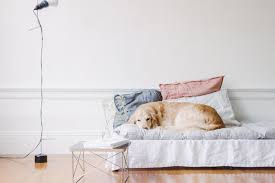 They can also serve as an actual bed for for you to sleep well, you might be required to buy a mattress for your daybed. Diy To Try Daybed Mattress Do It Yourself Projects Lonny