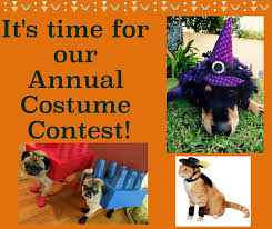 We plan on reopening the healthy pets clinic in a different location in the. Hometown Veterinary Clinic Home Facebook