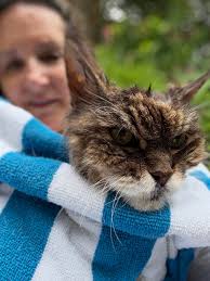 It's officially the season here. On to hot chocolate and cookies.