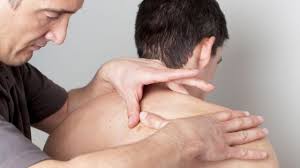 En som har en rev bak øret, er lur (som en rev) og i verste fall slu og utspekulert. Fettkul Lipom Helsesmart