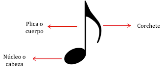 Figuras Músicales 🎵 ¿Que son? ¿Cómo se escriben? Los tipos y partes
