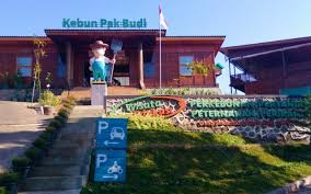 Sebelumnya diberitakan, menteri perhubungan budi karya sumadi telah diperbolehkan pulang. Kebun Pak Budi Tiket Aktivitas Agustus 2021 Travelspromo
