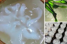 Resep es kelapa muda jelly jeruk, inspirasi sensasi kenyal dari jelly jeruk jadikan minuman segar klasik ini semakin nikmat. Resipi Jeli Kelapa Muda Guna Sukatan Cawan Sedap Sejuk Dimakan