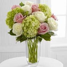 Maybe you would like to learn more about one of these? About Us Blossoms At Dailey S Flower Shop Fairfield Ct