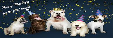 These fees usually includes spaying/neutering, vaccinations, a heartworm test and. Kingsmark Kennels Reviews Pet Boarding At 7155 Kavanagh Way Flagstaff Az