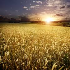 How The Speed Of Light Was First Measured