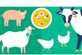 But food production and access to food must be addressed within a programme that includes all sectors of environmental and social development. Sustainable And Ethical Food Production