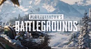 If you're already player unknown battlegrounds hack. Pubg Corp Has Banned Over 30 000 Players For Using Radar Hack