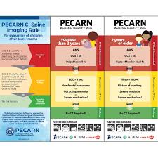 Image result for PECARN Pediatric Intra-Abdominal Injury Algorithm