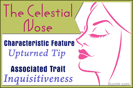 Jul 23, 2020 · kissing is fun, whether you are on a first date or with someone you have been with a long time. An Informative Yet Hilarious Post On The Different Types Of Noses Beautisecrets