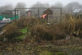 If you have patience for diy, you can get creative and turn your garden into an aesthetic delight. Clearing A New Allotment Or Vegetable Plot