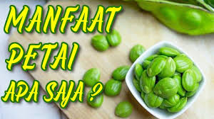 Hal ini disebabkan karena elastisitas pembuluh darah yang mulai menurun. Wajib Tau Inilah 15 Manfaat Dan Khasiat Biji Halba Untuk Kesehatan By Berita Kesehatantubuh