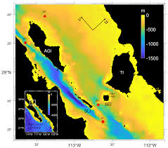 Image result for Tidal Wave 2005 Tiburon