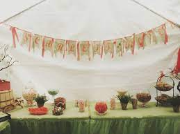 Pastel Mint Coral Baby Girl Outdoor Baby Shower Flag Banner And Candy Buffet Outdoor Baby Shower Coral Baby Pastel Mint